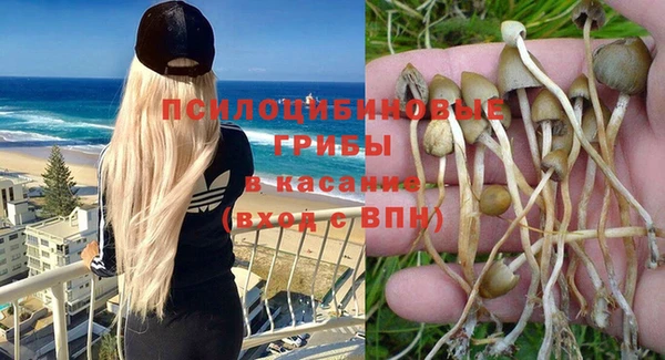 не бодяженный Алзамай