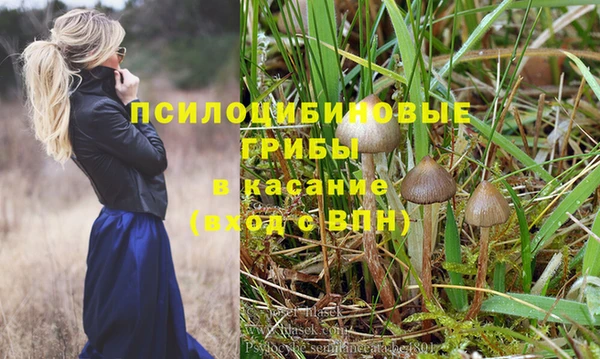 кокс Алексеевка