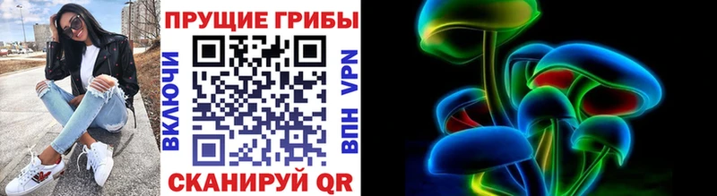 дарнет шоп Солигалич shop наркотические препараты Псилоцибиновые грибы GOLDEN TEACHER
